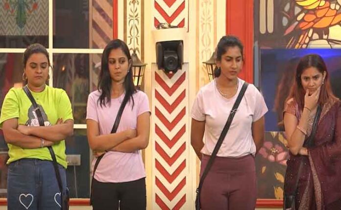 Rohini Record As The Last Mega Chief, Last Mega Chief, Avinash, Bigg Boss House, Bigg Boss Voting, Gautham Krishna, Nabeel, Nikhil, Prerna, Prithvi, Rohini, Tasty Teja, Yashmi, Bigg Boss Elimination, Elimination In This Week,Bigg Boss Telugu 8, Bigg Boss Telugu Season 8, Bigg Boss 8, Bigg Boss Contestants, Bigg Boss Season 8, Movie News, Latest Bigg Boss News, Bigg Boss News Updates, Nagarjuna, Tollywood, Mango News, Mango News Telugu