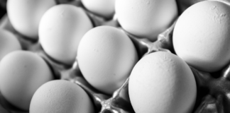 Why Eggs Are Costlier Than Chicken The Surprising Price Hike Explained, Why Eggs Are Costlier Than Chicken, Chicken Surprising Price Hike, Chicken Price, Eggs Price Hike, Chicken, Demand For Eggs, Eggs, Eggs Rate Hike, Rates, Seasonal Hikes, Health, Health News, Health Tips, Healthy Food, Healthy Diet, Fitness, Mango News, Mango News Telugu