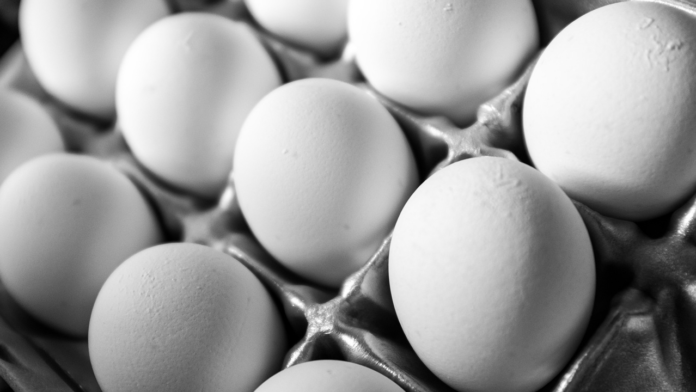 Why Eggs Are Costlier Than Chicken The Surprising Price Hike Explained, Why Eggs Are Costlier Than Chicken, Chicken Surprising Price Hike, Chicken Price, Eggs Price Hike, Chicken, Demand For Eggs, Eggs, Eggs Rate Hike, Rates, Seasonal Hikes, Health, Health News, Health Tips, Healthy Food, Healthy Diet, Fitness, Mango News, Mango News Telugu