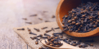 Health Benefits Of Cloves, Benefits Of Cloves, Cloves, Health Benefits, Advantages of Cloves, Clove For Weight Loss, Include Cloves In Your Diet, Tea With Cloves, Weight Loss Naturally, Diet For Weight Loss, Healthy Weight, Nutrition, Physical Activity, Weight Loss Tips, Health Tips, Healthy Food, Healthy Diet, Fitness, Mango News, Mango News Telugu
