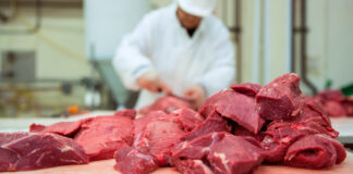 Traces Of Antibiotics In Meat, Traces Of Antibiotics, Antibiotic Residues In Cattle, Antibiotics In Meat, Antibiotic Use In Livestock, Antibiotics In Your Food, Antibiotics In Chicken, Antibiotics In Mutton, Antibiotics, Antimicrobial Resistance, Chicken, Mutton, Health, Health News, Health Tips, Healthy Food, Healthy Diet, Fitness, Mango News, Mango News Telugu
