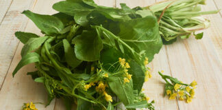 This Green Vegetable Is A Must Eat In Winter, Mustard, Mustard Greens, Mustard Powder, Green Vegetable, Cold Weather, Healthy Food In Winter, Winter Healthy Food, Best Ways to Stay Healthy In Winter, Winter Wellness, Tips For Staying Healthy This Season, Winter Health Care, Health, Health News, Health Tips, Healthy Food, Healthy Diet, Fitness, Mango News, Mango News Telugu
