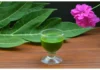 So Many Health Benefits Of Papaya Leaf Juice, Health Benefits Of Papaya, Papaya Leaf Juice Benefits, Benefits Papaya Leaf Juice, Health Benefits Of Papaya Juice, Papaya, Papaya Benefits, Papaya Fruit, Papaya Leaf Juice, Health, Health News, Health Tips, Healthy Food, Healthy Diet, Fitness, Mango News, Mango News Telugu
