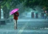 Heavy Rains To Continue In AP For Two More Days, Heavy Rains To Continue In AP, Two More Days Heavy Rains In AP, Rains Continue In AP, AP Weather, Heavy Rains, Light Rains, Rains, Alert For AP, IMD Weather Alerts, Rain Alert, IMD, IMD Alert, Officials Have Been Alerted, Heavy Rain Are Falling Across AP, Heavy Rain In AP, Weather Report, Red Alert, AP, Heavy Rain, Andhra Pradesh, AP Rains, AP Live Updates, Political News, Mango News, Mango News Telugu