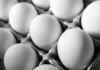 Why Eggs Are Costlier Than Chicken The Surprising Price Hike Explained, Why Eggs Are Costlier Than Chicken, Chicken Surprising Price Hike, Chicken Price, Eggs Price Hike, Chicken, Demand For Eggs, Eggs, Eggs Rate Hike, Rates, Seasonal Hikes, Health, Health News, Health Tips, Healthy Food, Healthy Diet, Fitness, Mango News, Mango News Telugu