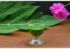 So Many Health Benefits Of Papaya Leaf Juice, Health Benefits Of Papaya, Papaya Leaf Juice Benefits, Benefits Papaya Leaf Juice, Health Benefits Of Papaya Juice, Papaya, Papaya Benefits, Papaya Fruit, Papaya Leaf Juice, Health, Health News, Health Tips, Healthy Food, Healthy Diet, Fitness, Mango News, Mango News Telugu