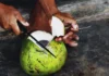 Dont Be Put Off By The Idea That Raw Coconut Is Fat, Raw Coconut Is Fat, Raw Coconut, Fat, Fat Loss With Raw Coconut, Lose Weight With Raw Coconut, Weight Lose With The Raw Coconut, Raw Coconut, Raw Coconut Benefits, Raw Coconut Advantages, Health Benefits Of Raw Coconut, Coconut, Coconut For Weight Loss, Weight Loss Tips, Weight Loss Meal Plan, Faster Way To Fat Loss, Weight Loss Food, Health News, Health Tips, Healthy Food, Healthy Diet, Fitness, Mango News, Mango News Telugu