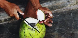 Dont Be Put Off By The Idea That Raw Coconut Is Fat, Raw Coconut Is Fat, Raw Coconut, Fat, Fat Loss With Raw Coconut, Lose Weight With Raw Coconut, Weight Lose With The Raw Coconut, Raw Coconut, Raw Coconut Benefits, Raw Coconut Advantages, Health Benefits Of Raw Coconut, Coconut, Coconut For Weight Loss, Weight Loss Tips, Weight Loss Meal Plan, Faster Way To Fat Loss, Weight Loss Food, Health News, Health Tips, Healthy Food, Healthy Diet, Fitness, Mango News, Mango News Telugu