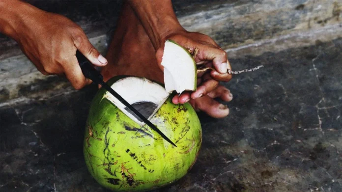 Dont Be Put Off By The Idea That Raw Coconut Is Fat, Raw Coconut Is Fat, Raw Coconut, Fat, Fat Loss With Raw Coconut, Lose Weight With Raw Coconut, Weight Lose With The Raw Coconut, Raw Coconut, Raw Coconut Benefits, Raw Coconut Advantages, Health Benefits Of Raw Coconut, Coconut, Coconut For Weight Loss, Weight Loss Tips, Weight Loss Meal Plan, Faster Way To Fat Loss, Weight Loss Food, Health News, Health Tips, Healthy Food, Healthy Diet, Fitness, Mango News, Mango News Telugu