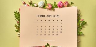 How Much Of The News About The February Specialty In 2025 Is True, The February Specialty In 2025 Is True, February Specialty In 2025, 2025 February Specialty, 2025 February Specialty News, February 2025, February Specialty, News About The February Specialty In 2025, Specialty In 2025, Live Updates, Breaking News, Headlines, Live News, Mango News, Mango News Telugu