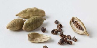 Drinking Cardamom Water On An Empty Stomach Has Many Benefits, Drinking Cardamom Water, Empty Stomach, Elaichi Water, Benefits, Cardamom Water Benefits, Drinking Elaichi Water On An Empty Stomach, Health Experts, Health News, Health Tips, Healthy Food, Healthy Diet, Fitness, Mango News, Mango News Telugu