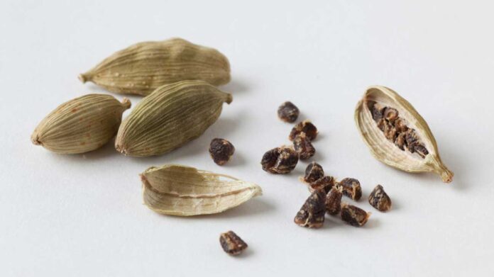 Drinking Cardamom Water On An Empty Stomach Has Many Benefits, Drinking Cardamom Water, Empty Stomach, Elaichi Water, Benefits, Cardamom Water Benefits, Drinking Elaichi Water On An Empty Stomach, Health Experts, Health News, Health Tips, Healthy Food, Healthy Diet, Fitness, Mango News, Mango News Telugu