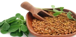 Do You Know How Good Fenugreek Is, Advantages Fenugreek, Benefits Of Fenugreek, Fenugreek Health Benefits, Fenugreek, Hair Loss, Health, Black Hair, Black Tea, Mehndi, White Hair, Dandruff, Experts, Hair Loss, Hair Loss Tips, Effects Of Hair Loss, Home Remedies for Dry Hair, Tips For Black Hair, Black Hair Tips, Health News, Health Tips, Healthy Food, Healthy Diet, Fitness, Mango News, Mango News Telugu