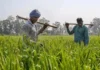 PM Kisan Samman Nidhi Fresh Funds For Farmers Set To Roll Out Soon, PM Kisan Samman Nidhi, PM Kisan, Fresh Funds For Farmers, PM Kisan News, Latest PM Kisan Update, Agriculture Benefits, E KYC Updates, Farmer Welfare, Financial Aid, PM Kisan Scheme, Modi, India, BJP, Congress, Live Updates, Breaking News, Headlines, Live News, Mango News, Mango News Telugu