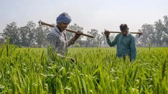 PM Kisan Samman Nidhi Fresh Funds For Farmers Set To Roll Out Soon, PM Kisan Samman Nidhi, PM Kisan, Fresh Funds For Farmers, PM Kisan News, Latest PM Kisan Update, Agriculture Benefits, E KYC Updates, Farmer Welfare, Financial Aid, PM Kisan Scheme, Modi, India, BJP, Congress, Live Updates, Breaking News, Headlines, Live News, Mango News, Mango News Telugu