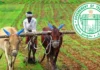 Rythu Bharosa Governments Swift Moves Amid Opposition Allegations, Rythu Bharosa, Governments Swift Moves, Rythu Bharosa Opposition Allegations, Opposition Allegations, Agricultural Policies, Opposition Criticism, Rythu Bharosa Scheme, Telangana Farmer Welfare, Telangana Government Initiatives, Hyderabad Live Updates, Latest Hyderabad News, Telangana, TS Politics, TS Live Updates, Political News, Mango News, Mango News Telugu