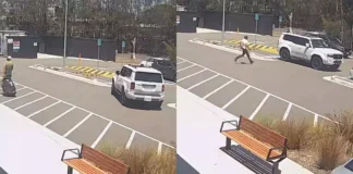 Fans Selfie Attempt With Australian Cricketer Ends In A Parking Mishap,Fan Car Crashes While Seeking Selfie With Australia Star Sam Konstas,Sam Konstas,Car Crash Over Selfie With Sam Konstas,Sam Konstas Car Video,Sam Konstas Viral Car Video,Sam Konstas Viral Video,Sam Konstas Latest News,Sam Konstas Selfie Video,Australia Fan,Mango News,Mango News Telugu,Cricket Fan Mishap,Fan’s Parking Fail,Parking Mistake Incident,Sam Konstas Viral Moment,Selfie Gone Wrong,Viral Video,Selfie,Cricketer Sam Konstas,Sam Konstas Effect,Fan Crashes Car In Attempt To Take Selfie With Sam Konstas,Konstas Selfie Car Crash,Fans Selfie Attempt With Sam Konstas,Hilarious Car Crash Over Selfie,Fan Car Crashes While Seeking Selfie With Australia Cricketer Sam Konstas,Australia Cricketer Sam Konstas,Australia