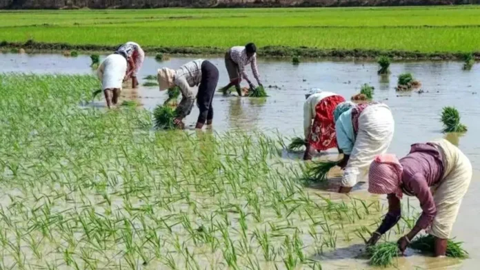 Money In Their Accounts In Telangana, Money In Their Accounts, Indiramma Atmiya Bharosa, Indiramma Illu, Money In Farmers’ Accounts In Telangana, New Ration Card Issuance Schemes, Rythu Bharosa, New Ration Cards In Telangana, Telangana Government Good News, CM Revanth Reddy, Hyderabad Live Updates, Latest Hyderabad News, Telangana, TS Live Updates, Political News, Live Updates, Breaking News, Headlines, Live News, Mango News, Mango News Telugu