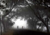 Cold Wave Grips Telangana Temperatures Drop To Single Digits, Cold Wave, Telangana Temperatures Dropping, Temperatures Drop To Single Digits, Telangana Temperatures, Dense Fog, Health Warnings, Low Temperatures, Telangana Cold Wave, Weather Updates, Winter Wellness, Tips For Staying Healthy This Season, Winter Health Care, Health, Health News, Health Tips, Healthy Food, Healthy Diet, Fitness, Mango News, Mango News Telugu