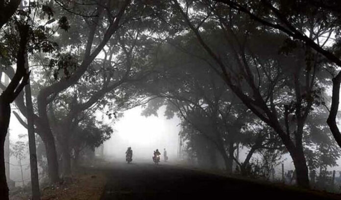 Cold Wave Grips Telangana Temperatures Drop To Single Digits, Cold Wave, Telangana Temperatures Dropping, Temperatures Drop To Single Digits, Telangana Temperatures, Dense Fog, Health Warnings, Low Temperatures, Telangana Cold Wave, Weather Updates, Winter Wellness, Tips For Staying Healthy This Season, Winter Health Care, Health, Health News, Health Tips, Healthy Food, Healthy Diet, Fitness, Mango News, Mango News Telugu