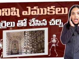 Church Made Of Human Bones And Skulls Portugals Chapel Of Bones Sao Francisco Church Karthi Kites,Church Made Of Human Bones And Skulls,Karthi Kites,Portugal’s Chapel Of Bones,Sao Francisco Church,Mango News Telugu,Mango News,మనిషి ఎముకలు పుర్రెలు తో చేసిన చర్చి,Portugal's Chapel of Bones,Sao Francisco Church,Karthi Kites,Portugal Travel,Chapel Of Bones,Evora,Macabre History,Best Christmas Markets Europe,German Christmas Market,Christmas In Germany,Holiday Season,Festive Vibes,Travel Vlog,German Culture,Christmas Markets,Winter Wonders,Life In Germany,German,Sao Francisco