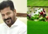 Rythubharosa Money Being Deposited In The Accounts Of Telangana Farmers, Rythubharosa Money Being Deposited, BRS, CM Revanth Reddy, Election Comission, January 26, Poilet Project, Raithu Bharosa, Rythubharosa Money, Telangana Farmers, Telangana Rythu Bharosa Funds Released Today, Raithu Bandhu, Good News For Farmers, Hyderabad Live Updates, Latest Hyderabad News, Telangana, TS Live Updates, Political News, Live Updates, Breaking News, Headlines, Live News, Mango News, Mango News Telugu