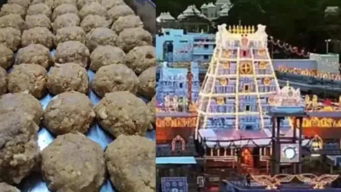 Tirumala Laddu Adulteration Scandal, More Arrests On The Way
