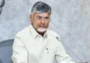 Ongole Cow Sold For 41 Crores A World Record In Brazil