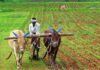 Financial Aid For Farmers First Phase Begins In April, Financial Aid For Farmers, First Phase Begins In April, Farmers Financial Aid Begins In April, Annadata Sukhibhava, AP Farmers Scheme, Chandrababu Naidu, Financial Aid, Kisan Samman Nidhi, Andhra Pradesh, AP Live Updates, AP Politics, Political News, Live Updates, Breaking News, Headlines, Live News, Mango News, Mango News Telugu