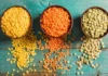 Eating These Pulses Regularly Will Help You Lose Weight, Eating These Pulses Regularly, Pulses Uses To Lose Weight, And Chickpeas, Obesity, Red Lentils, Ulaval, Weight, Weight Gain, Weight Loss Tips, Weight Loss Meal Plan, Faster Way To Fat Loss, Weight Loss Food, Health News, Health Tips, Healthy Food, Healthy Diet, Fitness, Mango News, Mango News Telugu