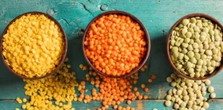 Eating These Pulses Regularly Will Help You Lose Weight, Eating These Pulses Regularly, Pulses Uses To Lose Weight, And Chickpeas, Obesity, Red Lentils, Ulaval, Weight, Weight Gain, Weight Loss Tips, Weight Loss Meal Plan, Faster Way To Fat Loss, Weight Loss Food, Health News, Health Tips, Healthy Food, Healthy Diet, Fitness, Mango News, Mango News Telugu