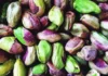 Are There All The Benefits Of Eating Pistachios Every Day, Eating Pistachios Every Day, Health Benefits Of Pistachios, Pistachios Benefits, Advantages Of Pistachios, Benefits Of Eating Pistachios, Benefits Of Eating Pistachios Every Day, Pista, Pistachios, Health, Health News, Health Tips, Healthy Food, Healthy Diet, Mango News, Mango News Telugu
