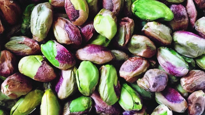 Are There All The Benefits Of Eating Pistachios Every Day, Eating Pistachios Every Day, Health Benefits Of Pistachios, Pistachios Benefits, Advantages Of Pistachios, Benefits Of Eating Pistachios, Benefits Of Eating Pistachios Every Day, Pista, Pistachios, Health, Health News, Health Tips, Healthy Food, Healthy Diet, Mango News, Mango News Telugu