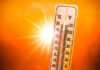 Telangana Heats Up Early Scorching Temperatures Before Summer Begins