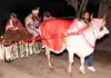 Unique Wedding In Ghaziabad Groom Accepts 11000 Saplings As Dowry, Unique Wedding In Ghaziabad, Ghaziabad Unique Wedding, Saplings As Dowry, 11000 Saplings Dowry, Eco Friendly Wedding, Ghaziabad Unique Marriage, Social Awareness Wedding, Sustainable Marriage Initiative, Ghaziabad, National News, International News, India, PM Modi, Live Updates, Breaking News, Live News, Mango News, Mango News Telugu