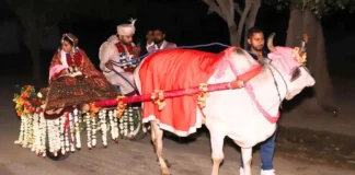 Unique Wedding In Ghaziabad Groom Accepts 11000 Saplings As Dowry, Unique Wedding In Ghaziabad, Ghaziabad Unique Wedding, Saplings As Dowry, 11000 Saplings Dowry, Eco Friendly Wedding, Ghaziabad Unique Marriage, Social Awareness Wedding, Sustainable Marriage Initiative, Ghaziabad, National News, International News, India, PM Modi, Live Updates, Breaking News, Live News, Mango News, Mango News Telugu