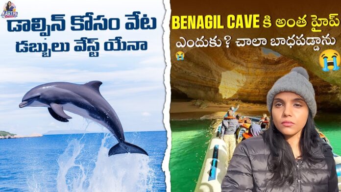 Is Hunting For Dolphins A Waste Of Money, Hunting For Dolphins, Dolphins Hunting, Benagil Cave Tour, Faro, Karthi Kites, Portugal Ep 4, Portugal, Karthi Kites Channel, Karthi Kites Vlogs, Karthi Kites Videos, National News, International News, India, BJP, PM Modi, Live Updates, Breaking News, Live News, Mango News, Mango News Telugu