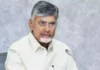 Why Is CM Chandrababu Repeatedly Calling For People To Have Children,CM Chandrababu,CM Chandrababu Repeatedly Calling For People To Have Children,financial grants,Uttar Pradesh,youth people,Mango News,Mango News Telugu,Andhra Pradesh News,Andhra Pradesh Latest News,AP,AP News,AP Latest News,CM Chandrababu Live,CM Chandrababu News,CM Chandrababu Latest News,Chandrababu Naidu Speech,AP Development,CM Chandrababu Naidu,Andhra Pradesh Chief Minister N Chandrababu Naidu,CM Chandrababu Press Meet,Why Is Chandrababu Naidu Asking People To Have More Children,Why Chandrababu Naidu Wants You To Make More Babies,Andhra Pradesh CM Chandrababu Naidu's New Policy