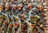 India Pakistan Border Tension Indian Army Retaliates Against Pakistans LoC Violation,Cross-Border Firing, India Pakistan Border Clash, Indian Army Retaliation, Jammu Kashmir Encounter, LOC Violation,India Pakistan Border Issue,Mango News Telugu,Mango News,India Pakistan Border,India Pakistan Border News,India,Pakistan,Indian Army,Indian Army News,Pakistan Violates Ceasefire,J&K News,Pakistani Troops Violate Ceasefire,Pak Army Attempts To Cross LoC,J&K,Border,Pakistan Army’s LoC,Pakistan Ceasefire Violation