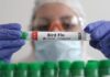 Girl Dies Of Bird Flu Is That The Reason,Mango News,Mango News Telugu,A Sporadic Case,Aiims Doctors,Bird Flu,Girl Dies Of Bird Flu,Influenza Subtype Influenza,Fatal H5N1 case reported in India's Andhra Pradesh state,Fatal H5N1 case,Bird Flu News,Bird Flu Latest News,Bird Flu Updates,Bird Flu Live Updates,Bird Flu In AP,First Human Death From Bird Flu In Andhra Pradesh,2 Year Old Girl Dies Due To Bird Flu In Andhra,Andhra Pradesh News,Andhra Pradesh Latest News,AP,AP News,AP Latest News,Andhra Pradesh,Bird Flu In Andhra Pradesh,Andhra Pradesh Bird Flu News,Bird Flu In Andhra,Bird Flu In AP