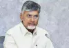 Why Is CM Chandrababu Repeatedly Calling For People To Have Children,CM Chandrababu,CM Chandrababu Repeatedly Calling For People To Have Children,financial grants,Uttar Pradesh,youth people,Mango News,Mango News Telugu,Andhra Pradesh News,Andhra Pradesh Latest News,AP,AP News,AP Latest News,CM Chandrababu Live,CM Chandrababu News,CM Chandrababu Latest News,Chandrababu Naidu Speech,AP Development,CM Chandrababu Naidu,Andhra Pradesh Chief Minister N Chandrababu Naidu,CM Chandrababu Press Meet,Why Is Chandrababu Naidu Asking People To Have More Children,Why Chandrababu Naidu Wants You To Make More Babies,Andhra Pradesh CM Chandrababu Naidu's New Policy