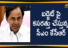 CM KCR Instructions To Officials Over The State Budget, KCR Instructions To Officials Over The State Budget, Mango News Telugu, Telangana Budget 2019, Telangana CM KCR Instructions To Officials, Telangana CM KCR Instructions To Officials Over Budget, Telangana CM KCR Instructions To Officials Over The State Budget, Telangana Political Live Updates, Telangana Political Updates, Telangana Political Updates 2019