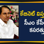 Cabinet Expansion Likely Before Dasara Festival, KCR Telangana Cabinet Expansion, Mango News Telugu, Telangana Cabinet Expansion, Telangana Cabinet Expansion Latest Updates, Telangana Cabinet Expansion Likely Before Dasara Festival, Telangana Cabinet Expansion News, Telangana Cabinet Expansion Updates, Telangana Political Live Updates, Telangana Political Updates, Telangana Political Updates 2019
