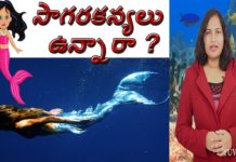 Do Mermaids Really Exist, Unknown Facts About Mermaids in Telugu, Yuvaraj Infotainment, world Mysteries in Telugu INDIA, Do Really Mermaids Exist?, mysterious facts about mermeds, are mermaids real, where do mermaids live, Are Mermaids Exist?, సాగరకన్యలు నిజంగా ఉన్నారా?, sagara kanyalu, believes behind mermeds, suvarnamaccha, mysteries about mermeds in telugu, stories in folklore, hindu mythology, hanuman, ravanaasuras daughter