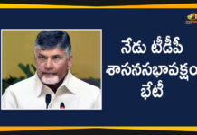 Andhra Pradesh Latest News, AP Breaking News, AP Political Live Updates 2020, Ap Political News, AP Political Updates, Chandrababu Naidu Latest News, Chandrababu Naidu Meeting With Party Leaders, Mango News Telugu, TDP Chief Chandrababu Naidu