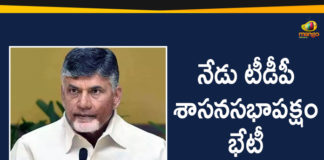 Andhra Pradesh Latest News, AP Breaking News, AP Political Live Updates 2020, Ap Political News, AP Political Updates, Chandrababu Naidu Latest News, Chandrababu Naidu Meeting With Party Leaders, Mango News Telugu, TDP Chief Chandrababu Naidu