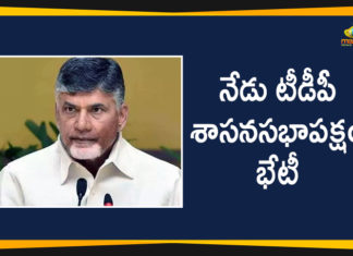 Andhra Pradesh Latest News, AP Breaking News, AP Political Live Updates 2020, Ap Political News, AP Political Updates, Chandrababu Naidu Latest News, Chandrababu Naidu Meeting With Party Leaders, Mango News Telugu, TDP Chief Chandrababu Naidu