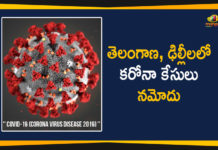 తెలంగాణ, ఢిల్లీలలో కరోనా కేసులు నమోదు China Coronavirus, China Coronavirus Updates, Coronavirus, Coronavirus Case, Coronavirus Cases, coronavirus delhi, coronavirus gandhi hospital, coronavirus hyderabad, coronavirus india, Coronavirus outbreak, coronavirus telangana, Coronavirus Updates, Positive Covid-19 Cases, World Health Organization