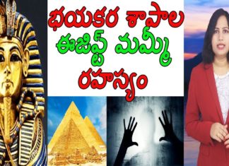 భయంకర శాపాల ఈజిప్ట్ మమ్మీ రహస్యం,Mystery of Egypt King Tutankhamun's Curse,Yuvaraj Infotainment,Mystery of Egypt King,Mystery of Egypt King in Telugu,Tutankhamun,Tutankhamun Mystery,Egypt King Tutankhamun Mystery,Tutankhamun Latest News,Tutankhamun Latest Updates,Mysterious Facts,Myterious Facts in Telugu,Unknown Facts,Unknown Facts in Telugu,Interesting Facts,Interesting Facts in Telugu