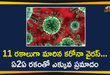 A2a Corona Most Dangerous, Coronavirus, Coronavirus Breaking News, Coronavirus History, coronavirus india, coronavirus india live updates, Coronavirus outbreak, Coronavirus Pandemic, Coronavirus Precautions, Coronavirus Prevention, Coronavirus Symptoms, Coronavirus Update, COVID-19, Indian Scientists Says Coronavirus Turns Into 11 types